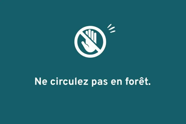 Conseils orage - Circulation forêt interdite